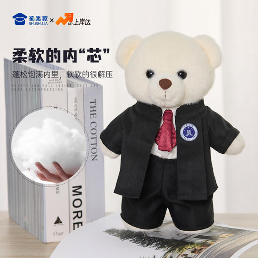 【实付满199送钥匙扣】【律师站姿熊】可定制创意毛绒职业小熊公仔儿童玩具服装可脱送礼礼物 商品图4