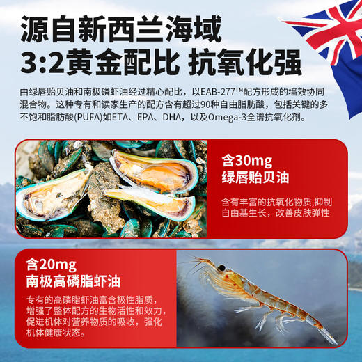 【1瓶】安替诺Antinol EAB-277 胶囊新西兰软骨素狗猫关节强炎髌骨脱位腰椎骨刺 商品图6