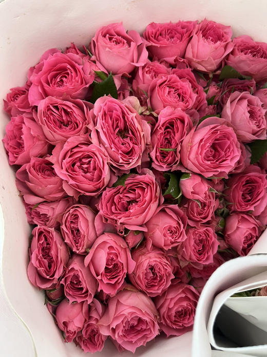 国产玫瑰-【苏菲宝贝】多头玫瑰 商品图3