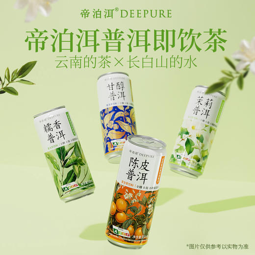 帝泊洱普洱即饮茶复合茶饮料330ml/罐*24罐糯香甘醇陈皮茉莉口味 商品图0
