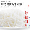 舶元（Poyuan）马坝油粘米10斤广东油粘米煲仔饭专用米软香大米地标米团购送礼 /粮油调味 /米 /油粘米 商品缩略图4