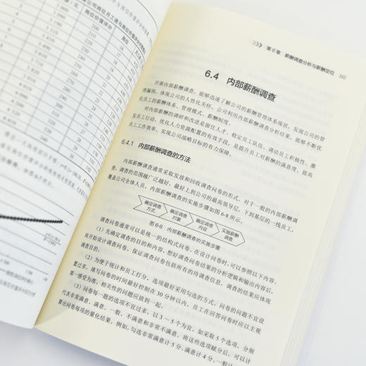 薪酬管理实操从入门到精通第3版 任康磊 HR技能提升系列 AI薪酬管理绩效管理考核激励 人力资源管理实操课程企业管理书籍 商品图4