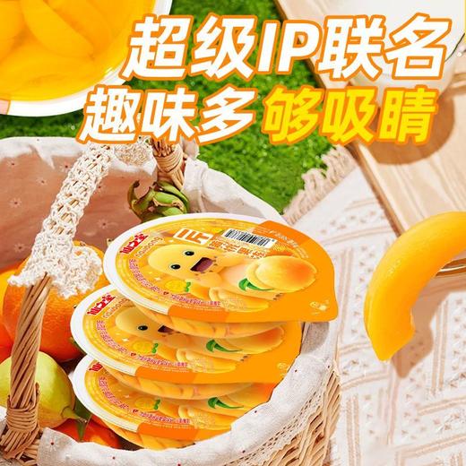 仙之宝500克什锦果冻 商品图9