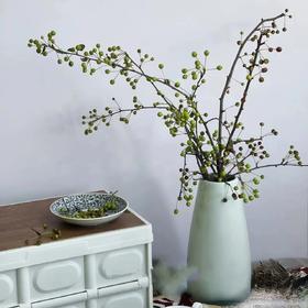 绿色海棠果鲜切花2-3支