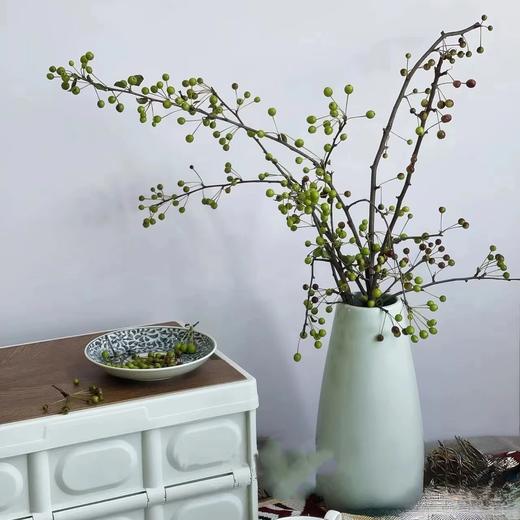 绿色海棠果鲜切花2-3支 商品图0