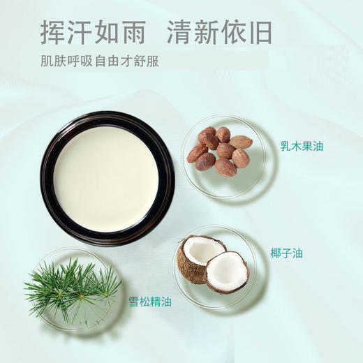 植物香体膏25g/罐  A-4731 商品图1