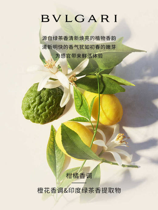 【保税仓】BVLGARI宝格丽绿茶淡香75ml/150ml (25年新版) 商品图1