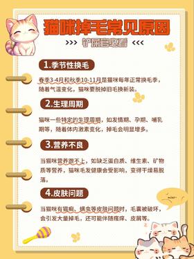 拿捏掉毛怪！4招教你告别养宠噩梦！