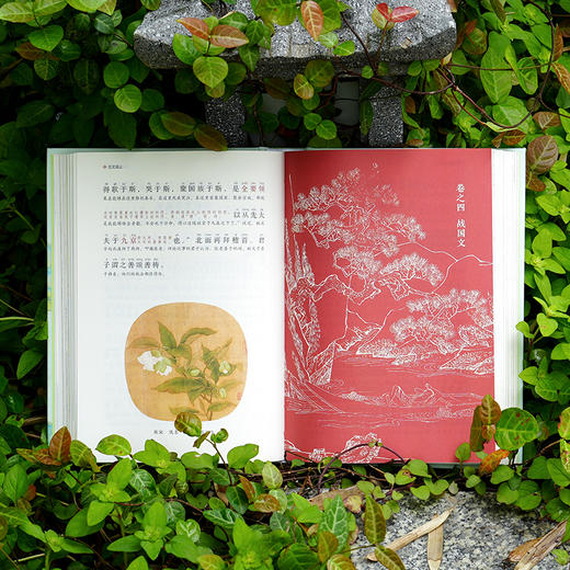 《古文观止：全本全注全译全注音彩图本》 商品图7