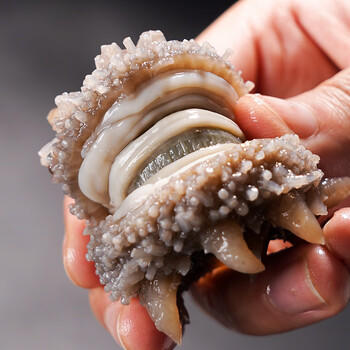 好参道大连淡干海参干货 150g 30只 净制辽刺参海鲜水产礼盒装 /粮油调味 /南北干货 /干海参 商品图2