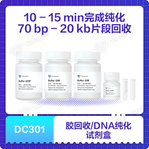 FastPure Gel DNA Extraction Mini Kit 商品图0
