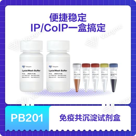 免疫(共)沉淀试剂盒(Protein A/G磁珠法) 商品图0