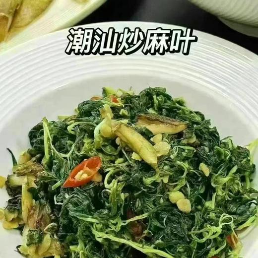 潮阳熟麻叶约250G 商品图2