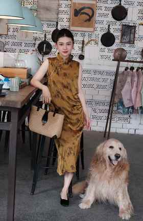 盛唐牡丹|醋酸文竹斜襟连衣裙