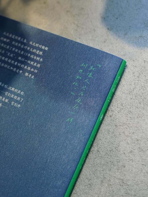 树（随书赠书签），《完美的日子》话题之书，日本知名散文家幸田文作品首次引进，作家黎戈推荐，影评人苏七七撰写导读。当光从树荫间洒下，你我的平凡也有了意义。 商品图7