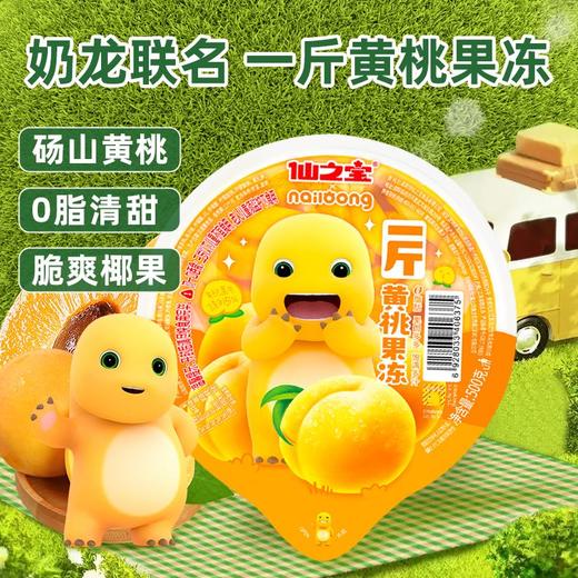 仙之宝500克什锦果冻 商品图8