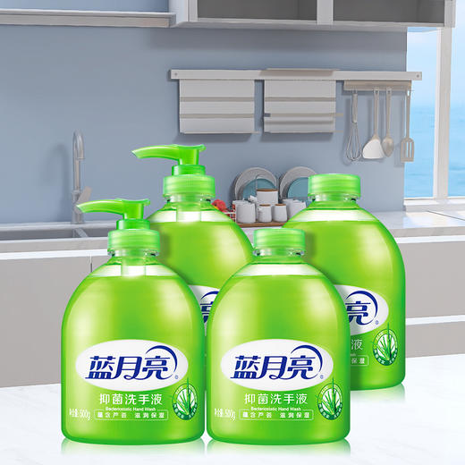 蓝月亮 抑菌洗手液500g*2+抑菌洗手液瓶补500g*2 商品图3