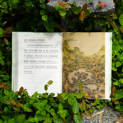 《古文观止：全本全注全译全注音彩图本》 商品图6