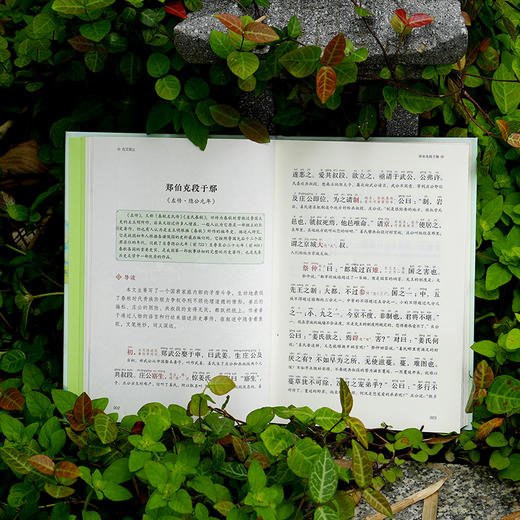 《古文观止：全本全注全译全注音彩图本》 商品图5