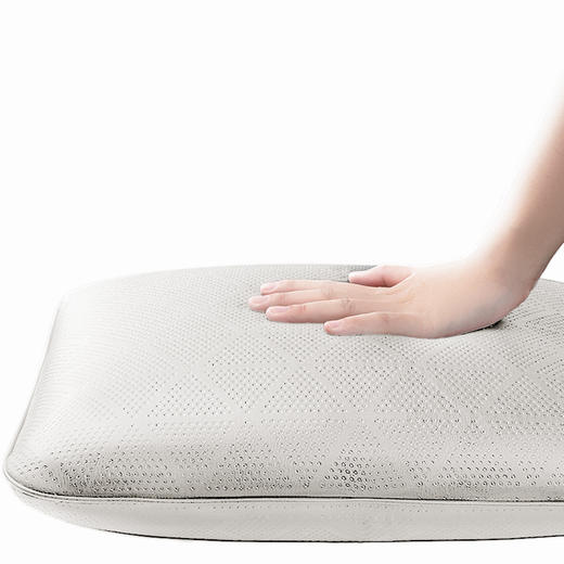 谧境-点阵低反弹方枕套装 商品图2