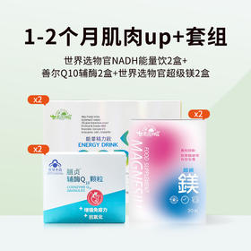 1-2个月肌肉up+