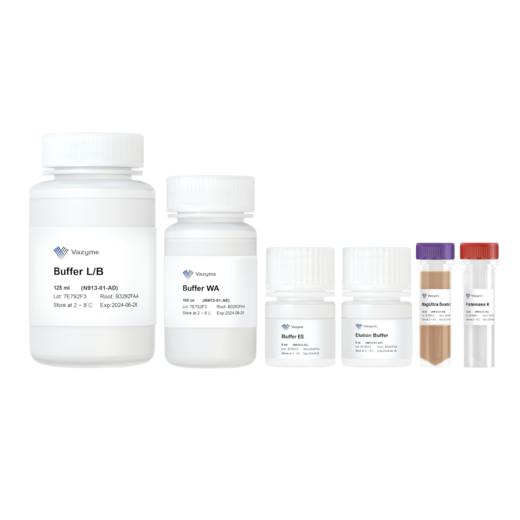 VAMNE MagUltra Circulating Cell-free DNA Isolation Kit 商品图0