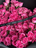 国产玫瑰-【苏菲宝贝】多头玫瑰 商品缩略图2