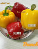 维生素含量超高的彩椒，口感脆甜，不辣，炒菜跟料理的好搭档，混装，2斤/份 商品缩略图4