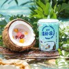 南国椰奶清补凉  多种优质谷物，健康又饱腹 收到后冰箱冷藏风味更佳  椰奶 绿豆玉米植物蛋白谷物饮料   海南特产代餐椰子汁饮料 海南特产 商品缩略图10