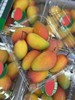 小金凤芒果（单盒500g左右） 商品缩略图0