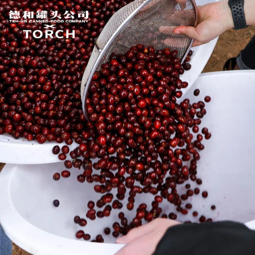 德和 咖啡 77g德和 X 炬点精品挂耳咖啡（11克*7)  黑蜜行动 月夜狂欢 晨雾柑橘  红宝石魔法 #咖啡 商品图4