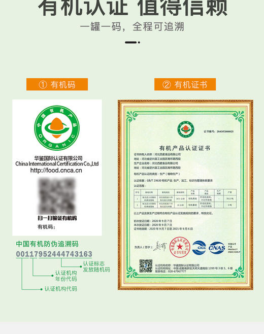 【官配食养早餐组合装】西麦人参石斛山药粉+黄芪人参八珍粉搭配西麦有机燕麦片 商品图9