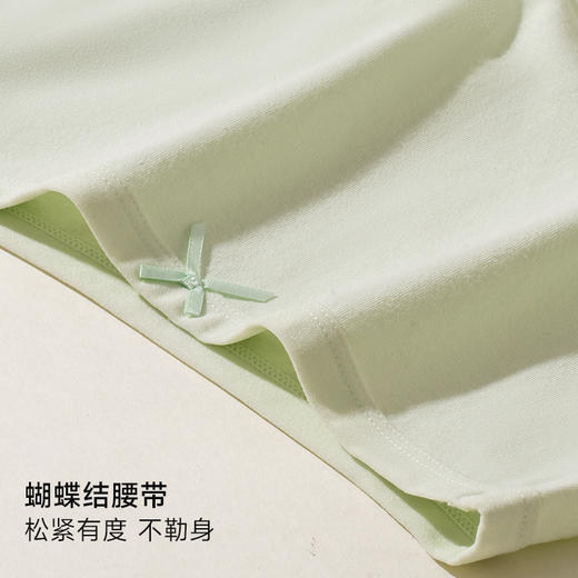云感棉精梳棉净色大版中高腰女士三角内裤2862/2888/2887 商品图5