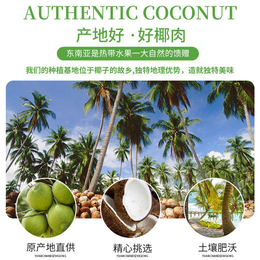 越南进口MY PHUONG椰子薄脆饼干（原味、咖啡味、芒果味、榴莲味混装）50g*4 商品图2