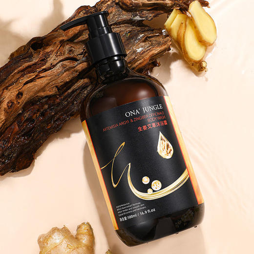 生姜艾草洗发水护发素沐浴露洗护套装控油蓬松丰盈清爽留香洗发露 商品图2