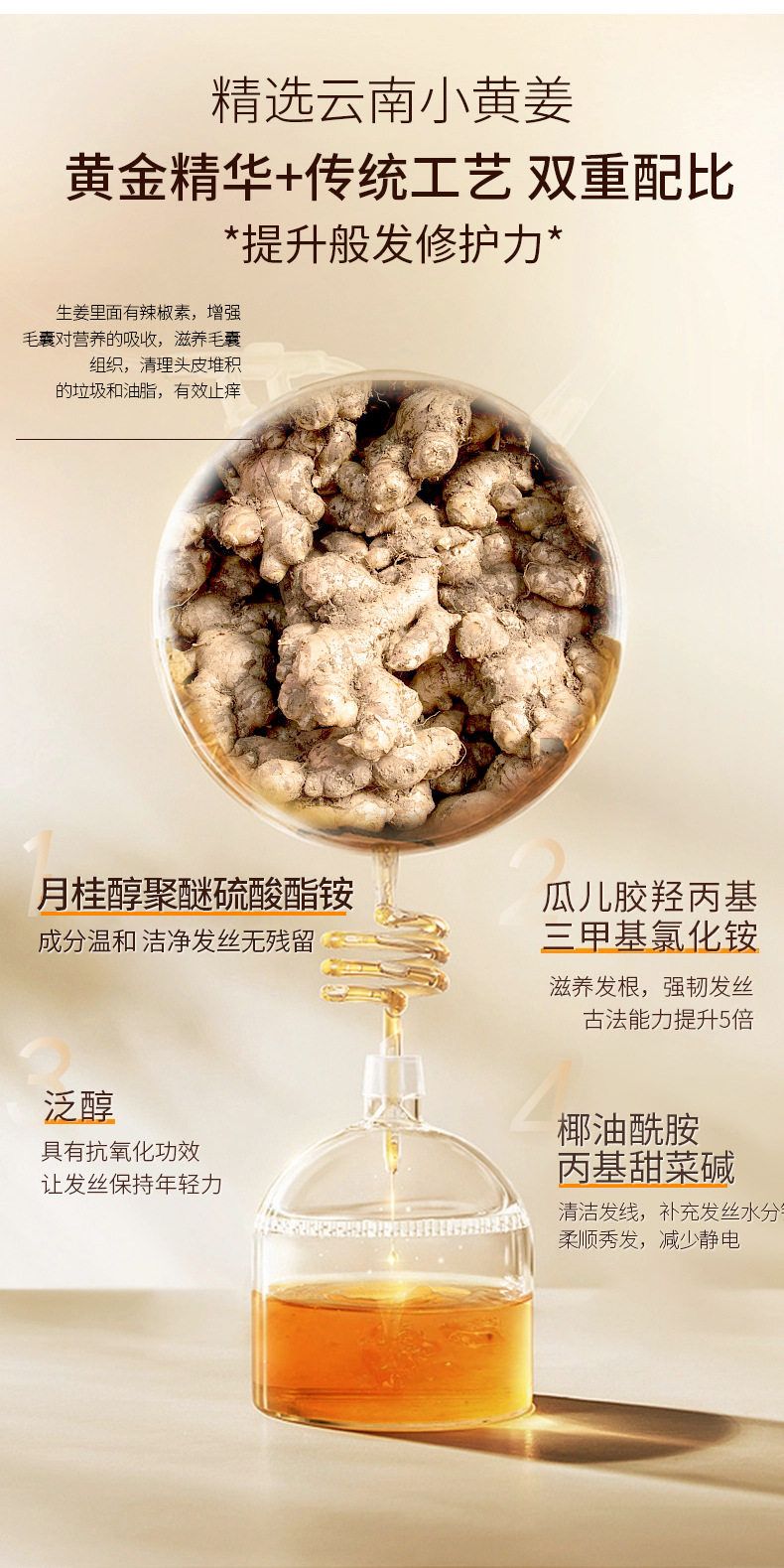 生姜洗发水_05