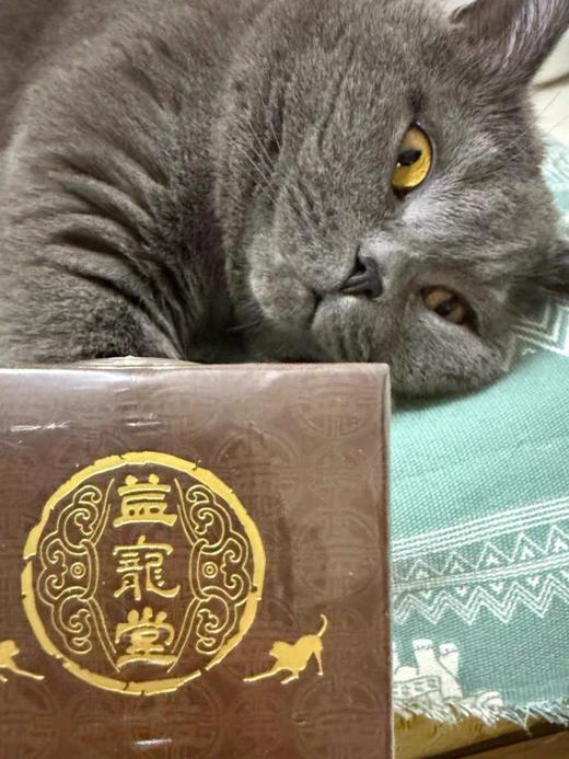 益宠堂益石丹宠物猫狗膀胱利尿泌尿道护理营养补充剂100颗 商品图7