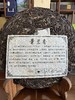 【好茶清凉一夏】景兰香 2018年景迈山野生乔木古树茶（生茶）【限量福利买一饼送2012年景迈熟茶一饼，限量10饼送完即止】 商品缩略图5