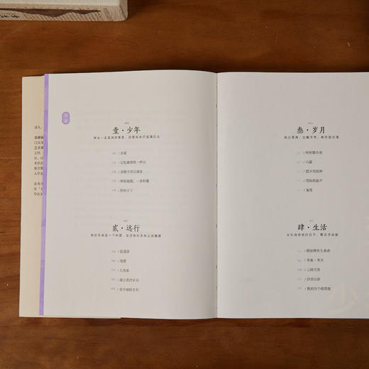 《余光中文学三书》函套装（全3册）| 完整呈现余光中诗歌、散文、翻译、批评的四度空间，洞穿纷繁的世事，感悟人生的热烈和生活的态度 商品图6