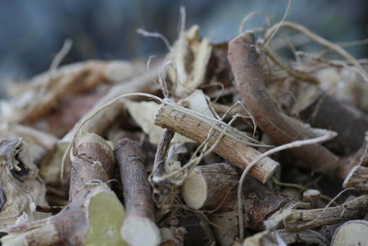 五指毛桃 商品图2