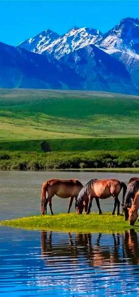 【暑假亲子】超奢版丝路之旅:青海湖+敦煌,壁画修复,住五钻,高铁+豪华大巴|5~70岁