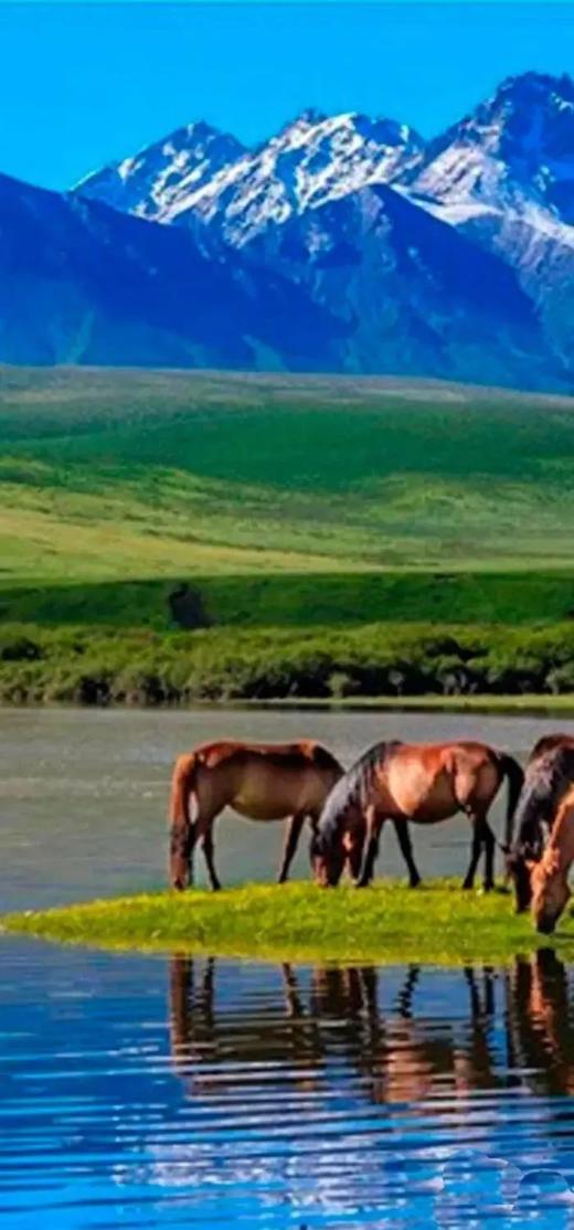 【暑假亲子】超奢版丝路之旅:青海湖+敦煌,壁画修复,住五钻,高铁+豪华大巴|5~70岁 商品图0