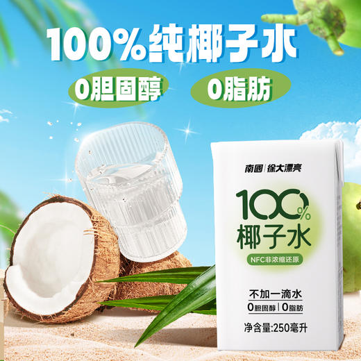 南国100%椰子水 NFC天然电解质水 海南特产 250ml*6盒 商品图5