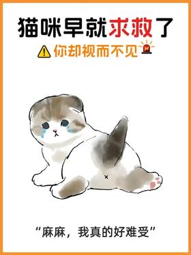 猫咪求救信号！别再视而不见