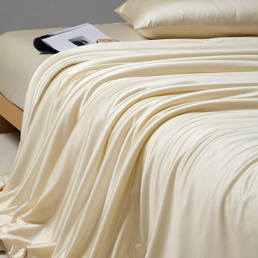 自然醒A类莹丝流光蚕丝夏被轻奢高端巴拿马蚕丝春夏季母婴级裸睡亲肤空调被薄被子可机洗纯色LFS 商品图3