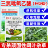 三氯吡氧乙酸杀藤类藤蔓灌木葛根络石藤专用农药除草剂老牌子正品 商品缩略图1