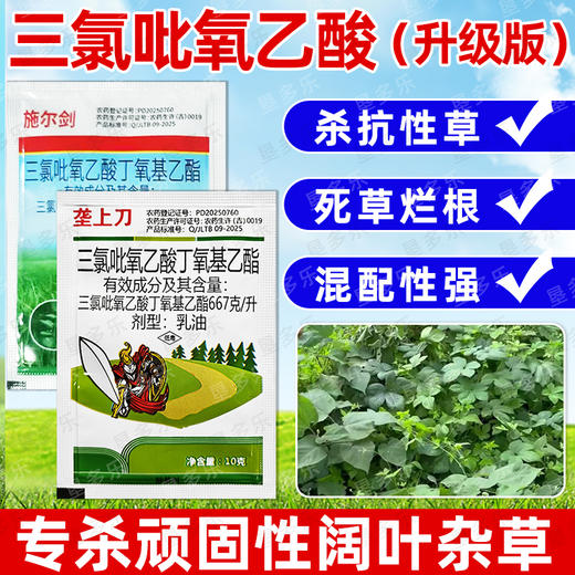 三氯吡氧乙酸杀藤类藤蔓灌木葛根络石藤专用农药除草剂老牌子正品 商品图1