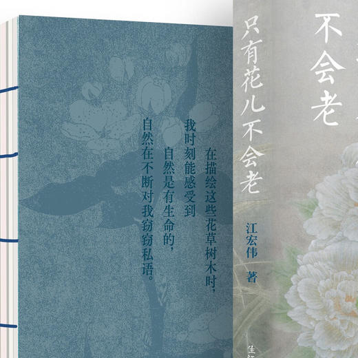 只有花儿不会老 江宏伟 著 三联书店旗舰店 商品图1