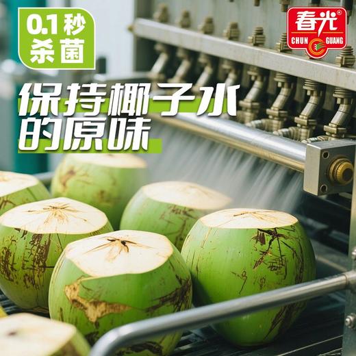 椰子水245ml 运动健身NFC饮料椰汁 新包装【店长推荐】 商品图4
