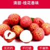桂味荔枝（约500G） ☆/份 商品缩略图1